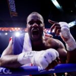 Dubois zastavil Wardleyho v 11. kole, aby získal titul WBO v ťažkej váhe v boxe | Správy o boxe