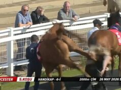 Hrôzostrašný moment Britský dostihový kôň násilne kopne do ženícha – predtým, ako ju previezli do nemocnice Dostihový kôň v Redcar vykopnutý u stajňového ženícha - ktorého museli poslať do nemocnice