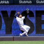 MLB: Texas Rangers v New York Yankees