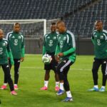 Juhoafrický tím na majstrovstvách sveta vo futbale skončil kvôli oneskoreniu víz