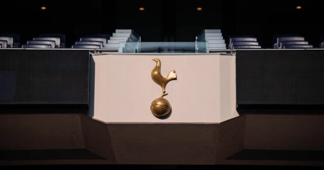 Lewisova rodina v liste priaznivcom sľúbila obnoviť dôveru v Tottenham | Futbal | Šport
