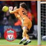 Liverpoolsky rival Chelsea za prestup Robina Roefsa