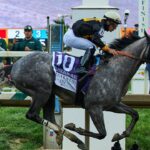 Napoleon Solo vyhráva 151. Preakness Stakes