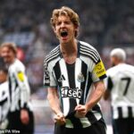 Newcastle prijal ponuku Barcelony vo výške 70 miliónov libier za Anthonyho Gordona