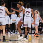 WNBA dnes skóruje Tempo vs Sky Nyara Sabally