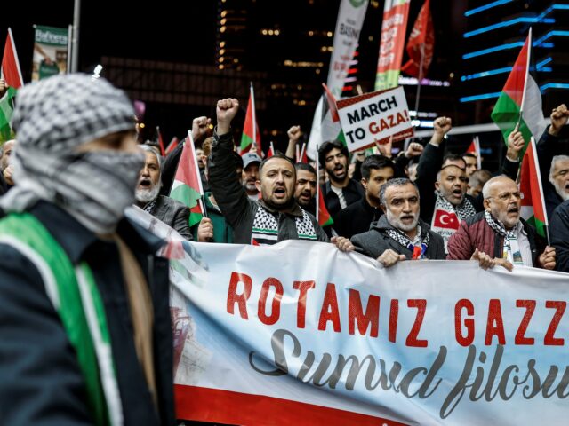 Odsúdenie a protesty proti izraelskému náletu na flotilu pomoci v Gaze | Slučka
