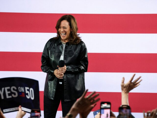 Päť kľúčových poznatkov z pitevnej správy demokratov o strate Kamaly Harrisovej | Správy Kamala Harris
