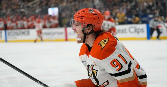 Play off NHL: Lukas Dostál a Ducks porazili Vegas v zápase 2
