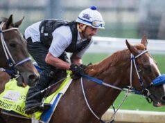 Right to Party poškriabané z Kentucky Derby Syndikácia: The Courier-Journal