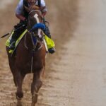 Right to Party sa stáva tretím skrečom Kentucky Derby, dodal Robusta