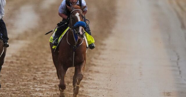 Right to Party sa stáva tretím skrečom Kentucky Derby, dodal Robusta
