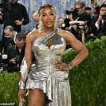 Fanúšikovia brutálne roztrhali Serenu Williamsovú kvôli jej výberu oblečenia na pondelňajšom večernom Met Gala