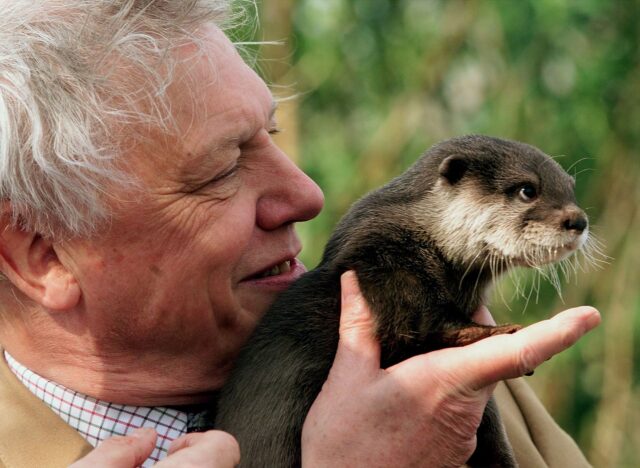 Slávny prírodovedec David Attenborough oslavuje 100. narodeniny | Životné prostredie
