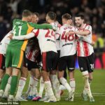 Southampton stiahol informácie o vstupenkách na finále play-off Championship zo svojej webovej stránky
