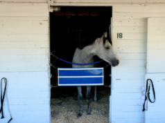 Stánky s koňmi Kentucky Derby v Churchill Downs stoja len 7,50 dolára na deň Stánky s koňmi Kentucky Derby v Churchill Downs stoja len 7,50 dolára na deň
