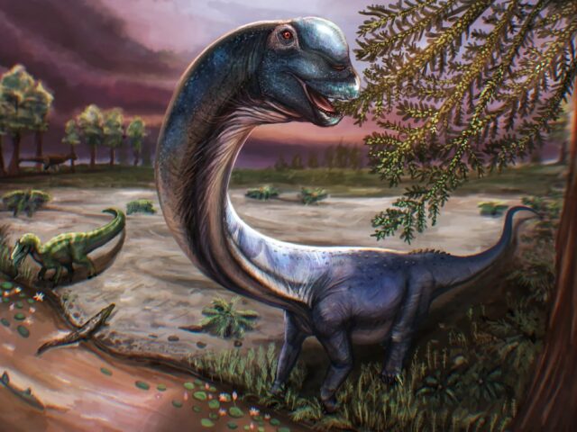 Vedci identifikovali masívneho nového dinosaura po vykopávkach v Thajsku | Správy o vede a technike
