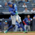 MLB: Toronto Blue Jays v New York Yankees