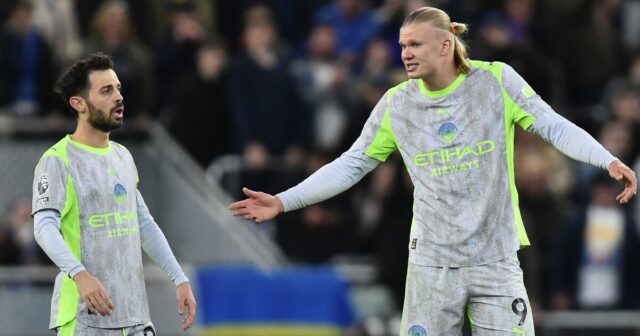 Záchrana Man City neskorá remíza Evertonu, keď zvrat v boji o veľký titul opúšťa Arsenal | Futbal | Šport
