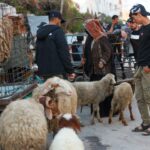 „Žiadne dobytok, ale stále nádej“: Palestínčania sa pripravujú na sviatok Eid al-Adha v Gaze | Správy o konflikte medzi Izraelom a Palestínou