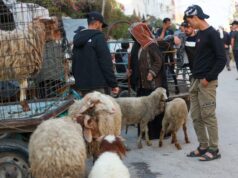„Žiadne dobytok, ale stále nádej“: Palestínčania sa pripravujú na sviatok Eid al-Adha v Gaze | Správy o konflikte medzi Izraelom a Palestínou „Žiadne dobytok, ale stále nádej“: Palestínčania sa pripravujú na sviatok Eid al-Adha v Gaze | Správy o konflikte medzi Izraelom a Palestínou