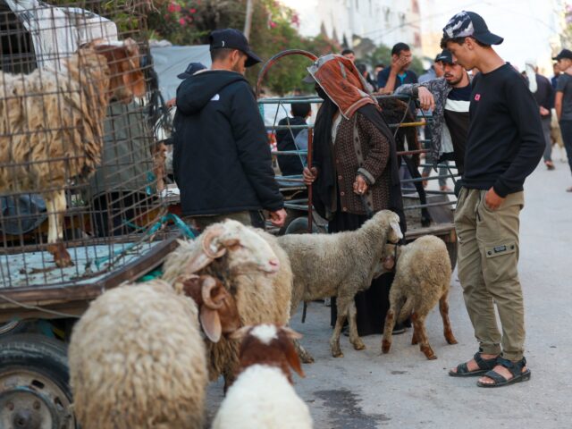„Žiadne dobytok, ale stále nádej“: Palestínčania sa pripravujú na sviatok Eid al-Adha v Gaze | Správy o konflikte medzi Izraelom a Palestínou
