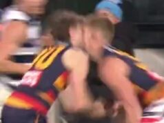 Adelaide Crows Toby Murray a Hugo Hall-Kahan odohrali zápas proti Geelongovi napriek TEJTO škaredej hlavičke. Teraz sa ich tréner zastal lekára, ktorý to dovolil Toby Murray a debutant Hugo Hall-Kahan sa v zrážke zrazili, ale boli schopní dohrať hru.