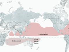 Ako by mohol El Nino tento rok pretvoriť tropické búrky po celom svete? | Klimatické správy Ako by mohol El Nino tento rok pretvoriť tropické búrky po celom svete? | Klimatické správy