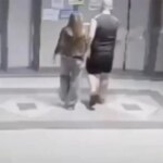 Austrálčan obvinený z vraždy po nájdení tela thajského dievčaťa v kufri | zločinu