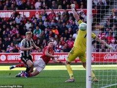 Cieľ Man City Elliot Anderson predbehol Morgana Gibbsa-Whitea, vrátil sa, aby prenasledoval Eddieho Howea a vyslúžil si prekvapivú správu od Thomasa Tuchela… a tu je návod, ako dosiahnuť zisk 100 miliónov libier pre Nottingham Forest. Elliot Anderson skóroval proti svojmu bývalému klubu Newcastle v máji, čo ho stálo dva body