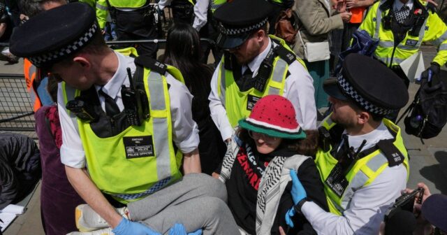 Čo znamená, že britský súd podporil zákaz „teroru“ Palestínskej akcie | Správy o konflikte
