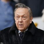 Ukázalo sa, že David Sullivan má od roku 2023 zakázané navštevovať zápasy žien a mládeže West Hamu