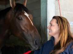 Golden Tempo, hlavička Renegade silné pole pre vysídlených Belmont Stakes Cherie DeVaux sa usmieva, keď sa Golden Tempo 14. mája 2026 zaťahuje za rukáv kabáta vo svojej stodole na pretekárskej dráhe Keeneland v Lexingtone, Ky.