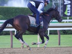 Golden Tempo získal 158. Belmont Stakes a vyhral prvý a tretí úsek Triple Crown 5. júna 2026; Saratoga Springs, NY, USA; Golden Tempo vánok počas ranných tréningov na Saratoga Race Course. Povinný kredit: Gregory Fisher-Imagn Images