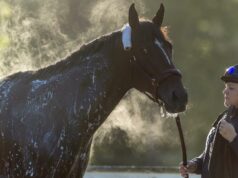 Hviezda Kentucky Derby Cherie DeVaux dúfa, že Golden Tempo prekvapí Hviezda Kentucky Derby Cherie DeVaux dúfa, že Golden Tempo prekvapí