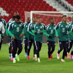 Juhoafrická futbalová organizácia oznámila, že mužstvo na majstrovstvá sveta odíde v pondelok po zdržaní víz