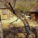 Klimatickí migranti zo Zimbabwe sa obávajú vysťahovania, keďže represie sa zintenzívňujú | Správy