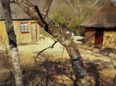 Klimatickí migranti zo Zimbabwe sa obávajú vysťahovania, keďže represie sa zintenzívňujú | Správy Klimatickí migranti zo Zimbabwe sa obávajú vysťahovania, keďže represie sa zintenzívňujú | Správy