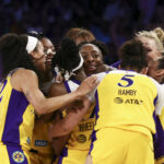 WNBA Nneka Ogwumike LA Sparks vs New York Liberty