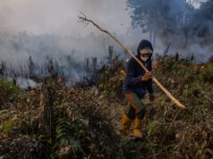 OSN hovorí svetu, aby sa pripravil na extrémne počasie, keď sa blíži El Nino | Klimatické správy OSN hovorí svetu, aby sa pripravil na extrémne počasie, keď sa blíži El Nino | Klimatické správy