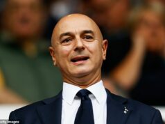 Odhalené: Taiwanský finančník v hodnote 7 miliárd libier a bývalý DJ stoja za skupinou, ktorá tvrdí, že kúpila 24,99 % podielu Daniela Levyho v Tottenhame Daniel Levy sa stal predsedom Tottenhamu v roku 2001 a svoju funkciu opustil vlani v septembri