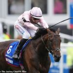 Pred Štedrým dňom a jeho radostný jazdec sa dokonca mohol tešiť z uznania početného publika na Derby Day, správcovia Epsomu zvolali vyšetrovanie