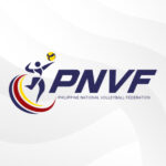 Logo PNVF