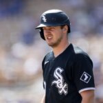 26. februára 2026; Phoenix, Arizona, USA; Chytač Chicago White Sox Kyle Teel proti Los Angeles Dodgers počas jarného tréningového zápasu na Camelback Ranch-Glendale. Povinný kredit: Mark J. Rebilas-Imagn Images