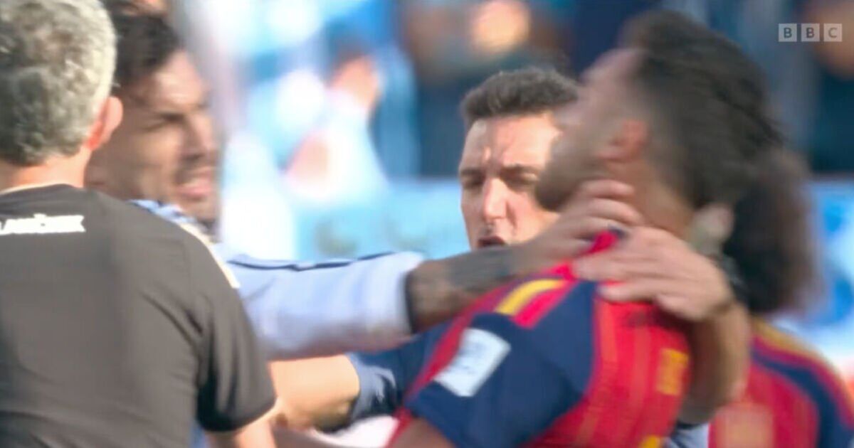 Argentínske hviezdy hádžu údery v „nechutných“ scénach po víťazstve Španielska vo finále majstrovstiev sveta | Futbal | Šport