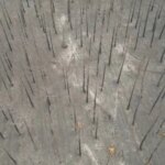 Dron ukazuje spálenú krajinu po požiari v Španielsku | Správy o klimatickej kríze