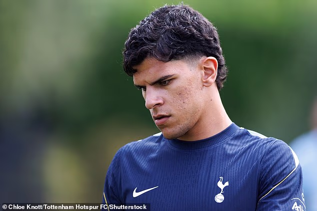 Fanúšikovia Tottenhamu boli nahnevaní, keď im chýbalo 85 miliónov libier za úžasný gól Mateusa Fernandesa v ich úvodnom predsezónnom zápase kvôli problémom s klubovým kanálom.