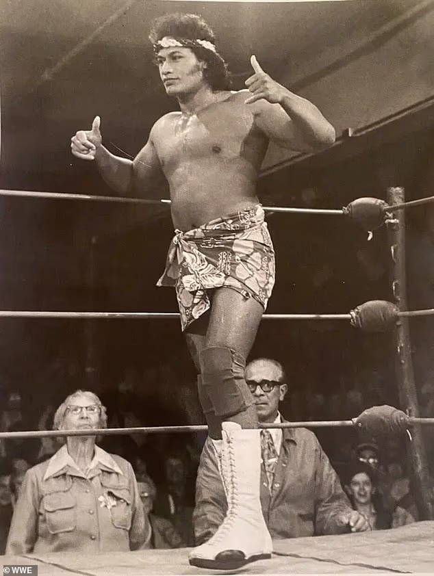 Wrestlingový svet je v smútku po smrti bývalej hviezdy WWE Siva Afi vo veku 77 rokov
