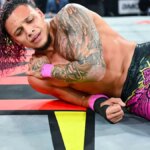 KC Navarro zbil v ringu