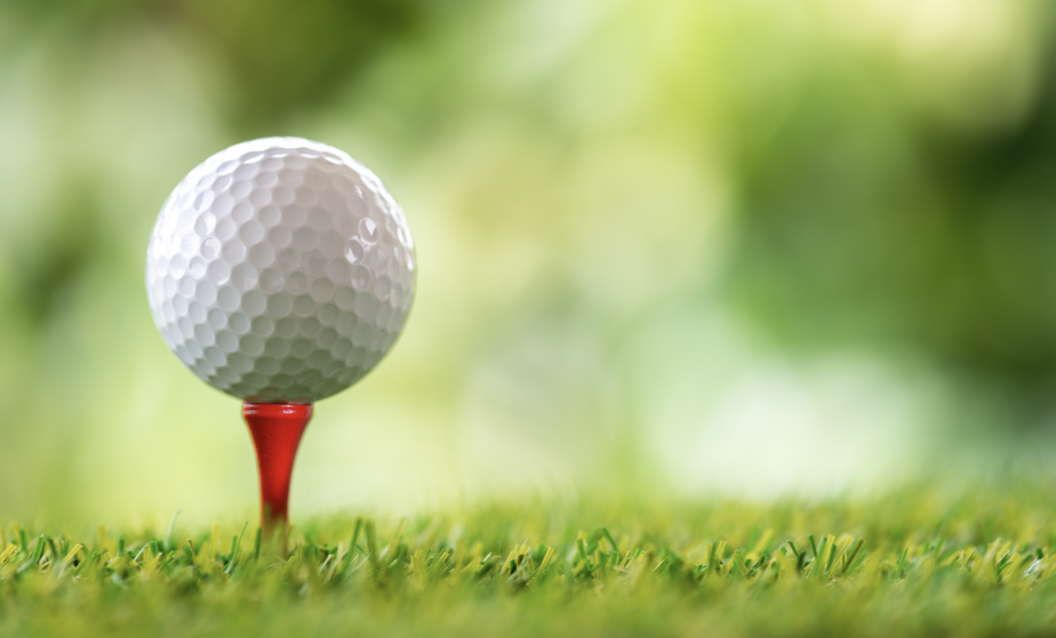 Národná golfová asociácia Filipín (NGAP) zvýši svoje poplatky za hendikepový systém nie pre nafúknuté príjmy, ale aby sa v podstate každý golfista v krajine stal zainteresovaným subjektom.
