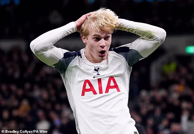 Nottingham Forest je odhodlaný získať toto leto Lucasa Bergvalla z Tottenhamu